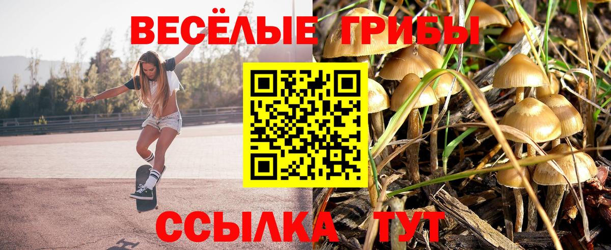 Псилоцибиновые грибы прущие грибы Нижний Тагил