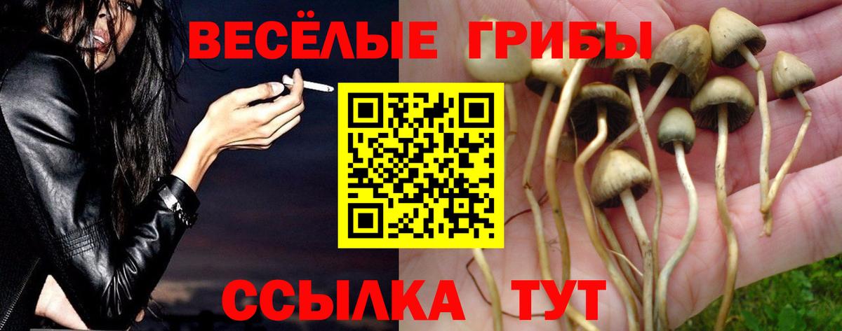 Нижний Тагил  Галлюциногенные грибы прущие грибы  Псилоцибиновые грибы мухоморы  Вход с VPN 